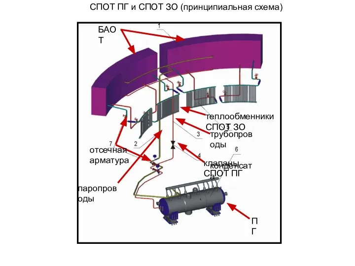СПОТ ПГ и СПОТ ЗО (принципиальная схема) БАОТ паропроводы трубопроводы конденсата