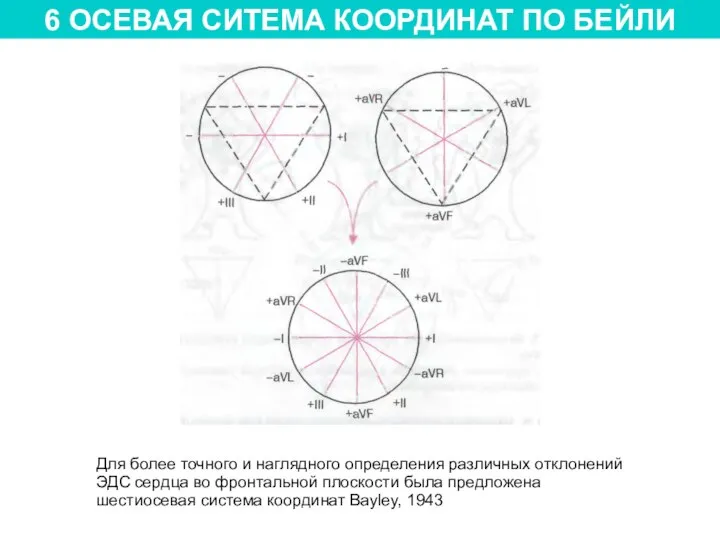 6 ОСЕВАЯ СИТЕМА КООРДИНАТ ПО БЕЙЛИ Для более точного и наглядного