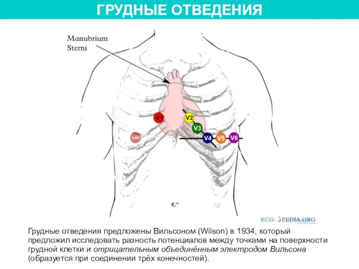 ГРУДНЫЕ ОТВЕДЕНИЯ Грудные отведения предложены Вильсоном (Wilson) в 1934, который предложил