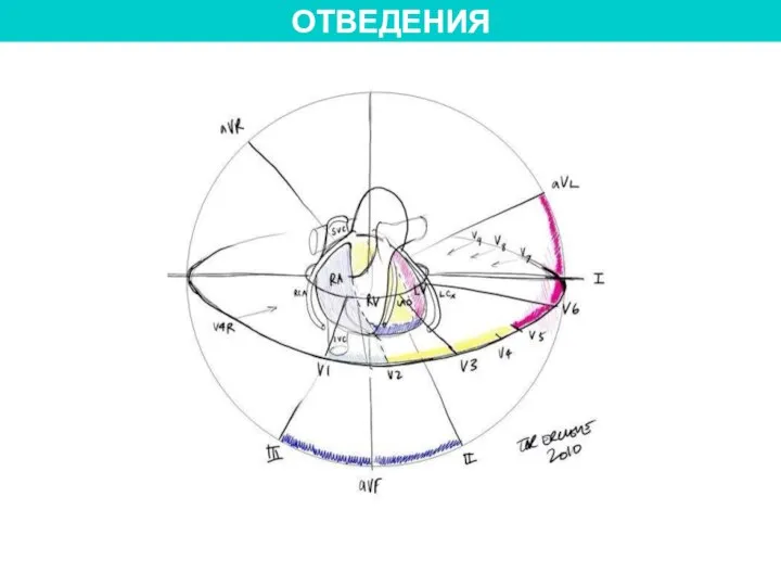 ОТВЕДЕНИЯ