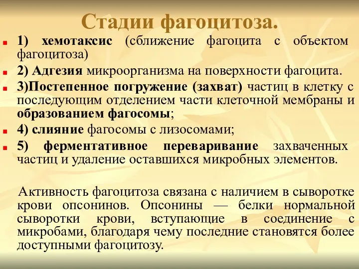 Стадии фагоцитоза. 1) хемотаксис (сближение фагоцита с объектом фагоцитоза) 2) Адгезия