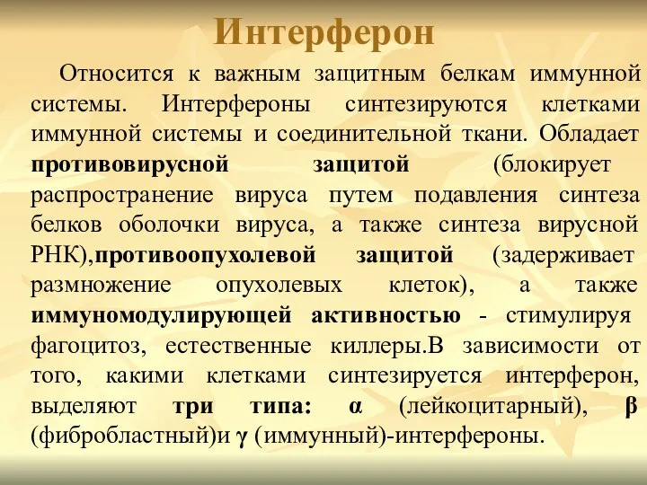 Интерферон Относится к важным защитным белкам иммунной системы. Интерфероны синтезируются клетками