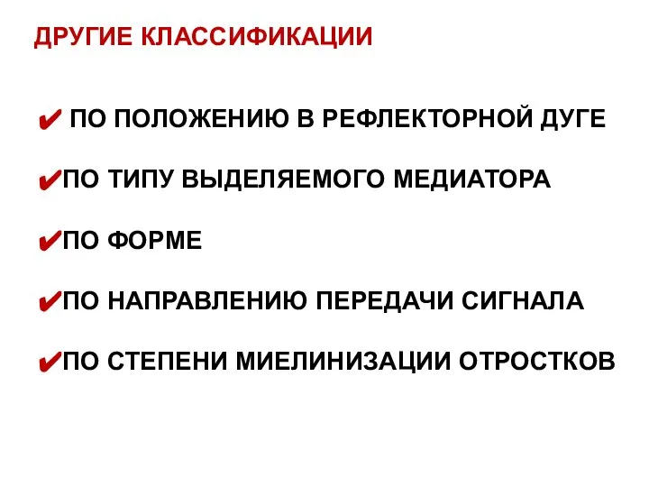 ДРУГИЕ КЛАССИФИКАЦИИ ПО ПОЛОЖЕНИЮ В РЕФЛЕКТОРНОЙ ДУГЕ ПО ТИПУ ВЫДЕЛЯЕМОГО МЕДИАТОРА