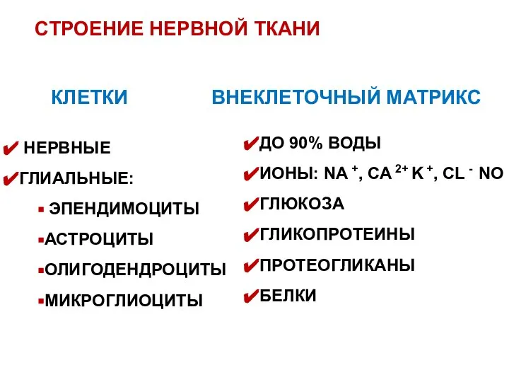 СТРОЕНИЕ НЕРВНОЙ ТКАНИ КЛЕТКИ ВНЕКЛЕТОЧНЫЙ МАТРИКС НЕРВНЫЕ ГЛИАЛЬНЫЕ: ЭПЕНДИМОЦИТЫ АСТРОЦИТЫ ОЛИГОДЕНДРОЦИТЫ