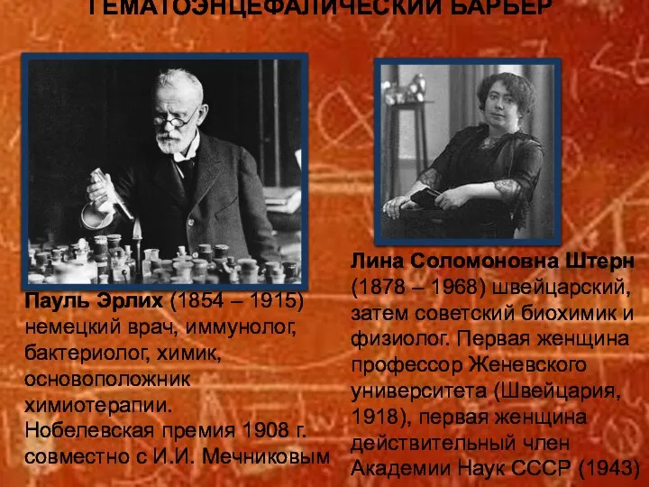 ГЕМАТОЭНЦЕФАЛИЧЕСКИЙ БАРЬЕР Пауль Эрлих (1854 – 1915) немецкий врач, иммунолог, бактериолог,