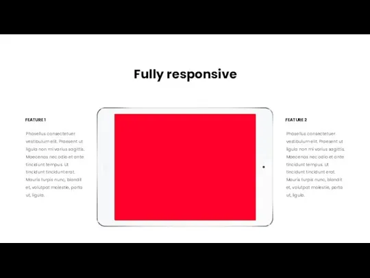 Fully responsive Phasellus consectetuer vestibulum elit. Praesent ut ligula non mi