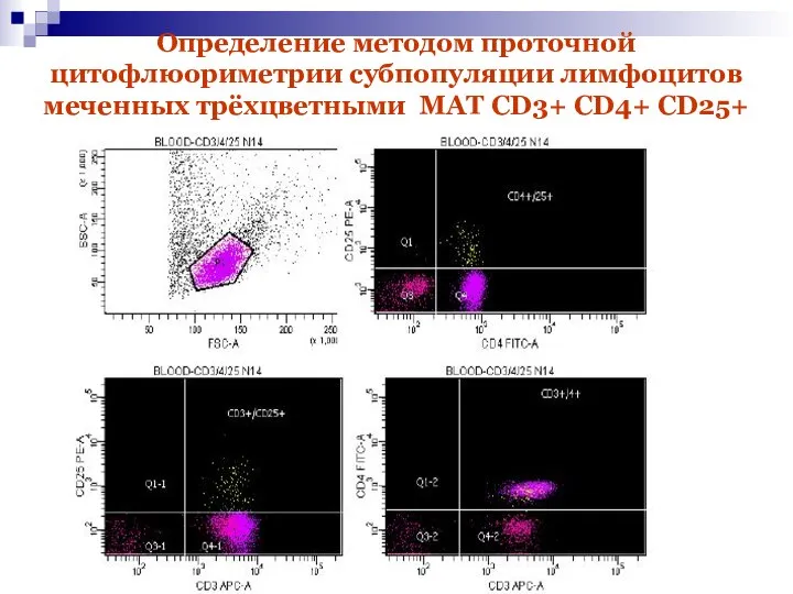 Определение методом проточной цитофлюориметрии субпопуляции лимфоцитов меченных трёхцветными МАТ CD3+ CD4+ CD25+