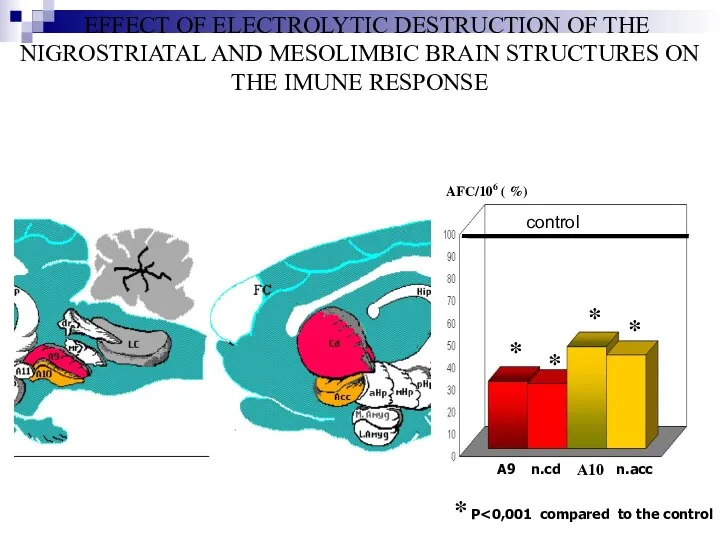 EFFECT OF ELECTROLYTIC DESTRUCTION OF THE NIGROSTRIATAL AND MESOLIMBIC BRAIN STRUCTURES