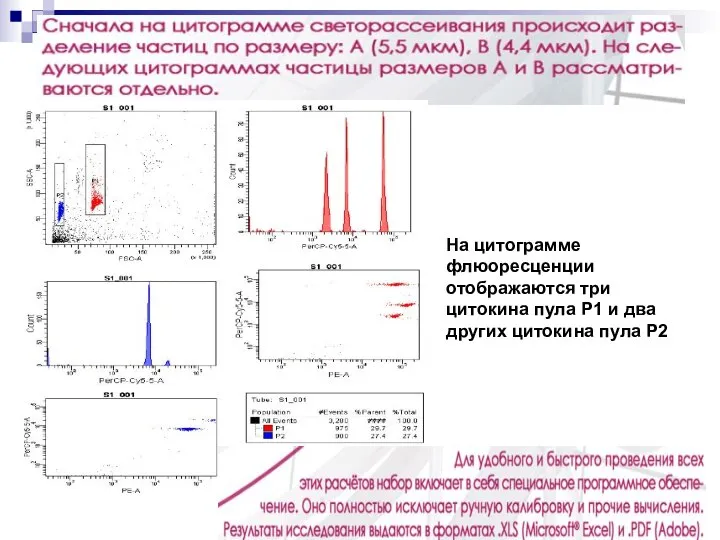 На цитограмме флюоресценции отображаются три цитокина пула Р1 и два других цитокина пула Р2