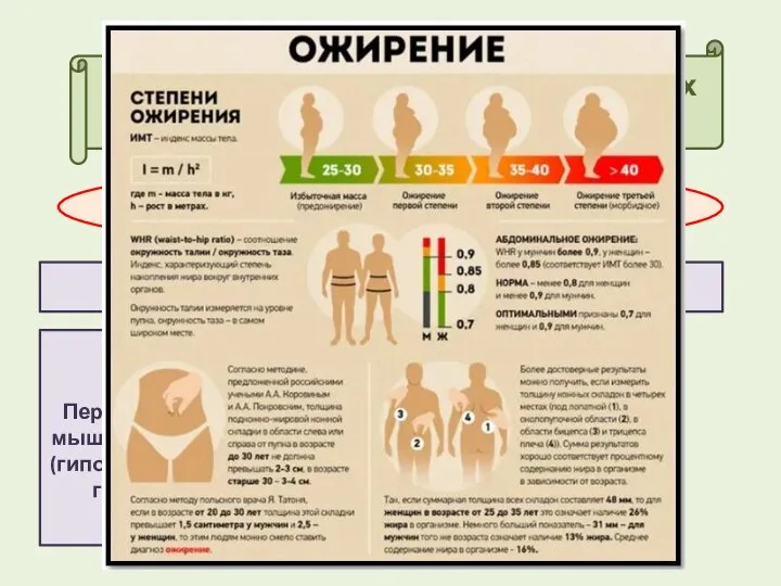 Предупреждение желудочно-кишечных заболеваний НАРУШЕНИЯ ОБМЕНА ВЕЩСТВ (дистрофия: ожирение, истощение) ПРИЧИНЫ 1.