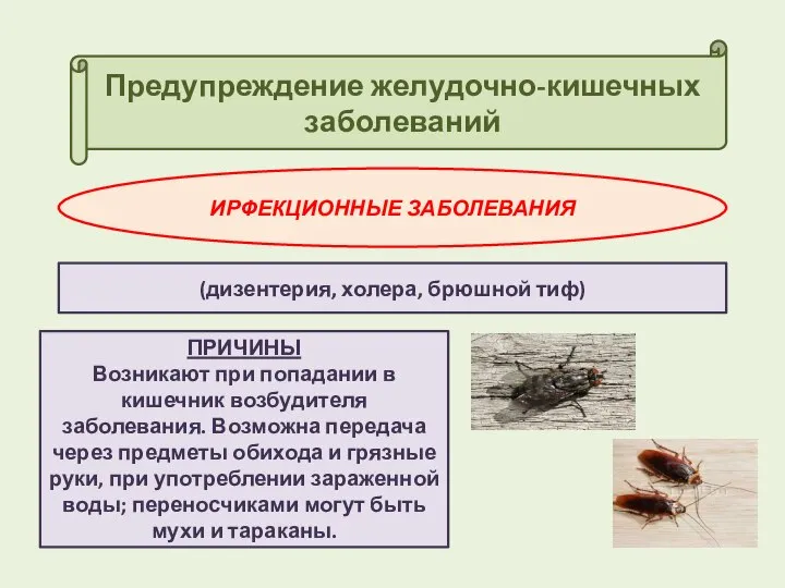 Предупреждение желудочно-кишечных заболеваний ИРФЕКЦИОННЫЕ ЗАБОЛЕВАНИЯ (дизентерия, холера, брюшной тиф) ПРИЧИНЫ Возникают