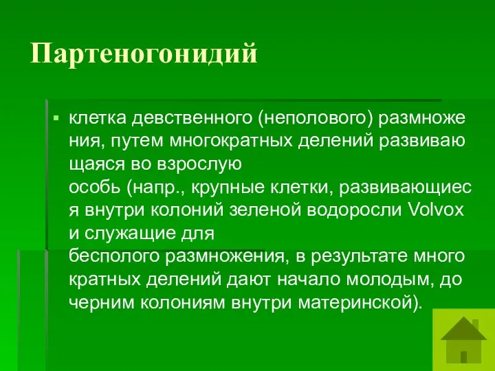 Партеногонидий клетка девственного (неполового) размножения, путем многократных делений развивающаяся во взрослую