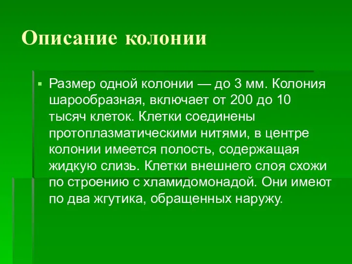 Описание колонии Размер одной колонии — до 3 мм. Колония шарообразная,