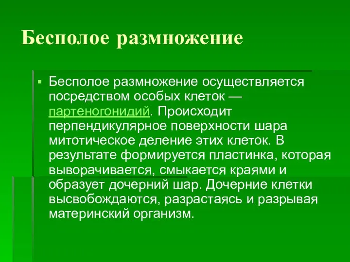 Бесполое размножение Бесполое размножение осуществляется посредством особых клеток — партеногонидий. Происходит