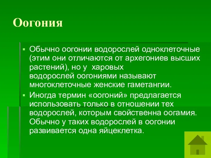 Оогония Обычно оогонии водорослей одноклеточные (этим они отличаются от архегониев высших