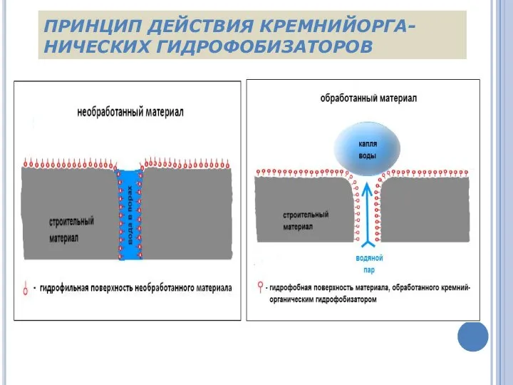 ПРИНЦИП ДЕЙСТВИЯ КРЕМНИЙОРГА-НИЧЕСКИХ ГИДРОФОБИЗАТОРОВ