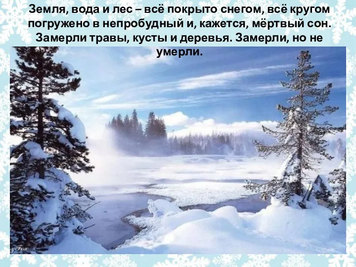 Земля, вода и лес – всё покрыто снегом, всё кругом погружено