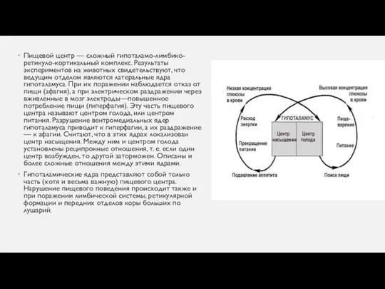 Пищевой центр — сложный гипоталамо-лимбико-ретикуло-кортикальный комплекс. Результаты экспериментов на животных сви­детельствуют,