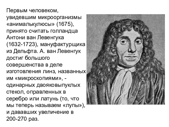 Первым человеком, увидевшим микроорганизмы «анималькулюсы» (1675), принято считать голландца Антони ван