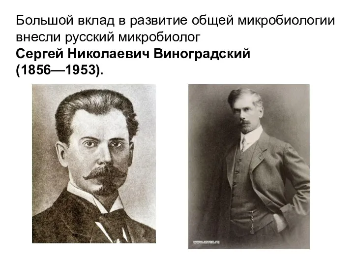 Большой вклад в развитие общей микробиологии внесли русский микробиолог Сергей Николаевич Виноградский (1856—1953).