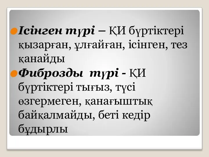 Ісінген түрі – ҚИ бүртіктері қызарған, ұлғайған, ісінген, тез қанайды Фиброзды