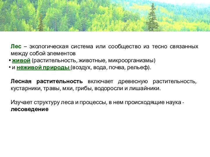 Лес – экологическая система или сообщество из тесно связанных между собой