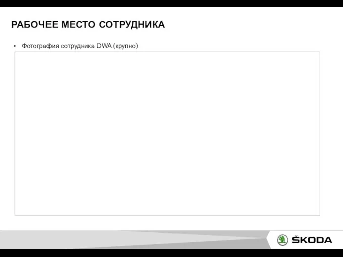 РАБОЧЕЕ МЕСТО СОТРУДНИКА Фотография сотрудника DWA (крупно)