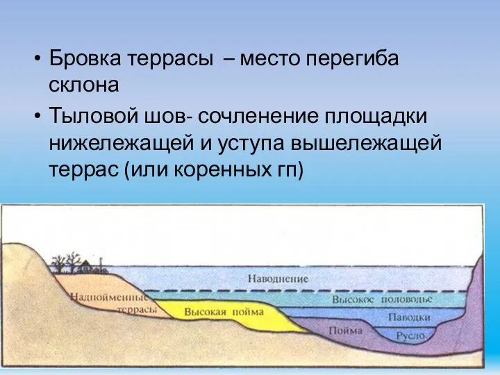 Бровка террасы – место перегиба склона Тыловой шов- сочленение площадки нижележащей