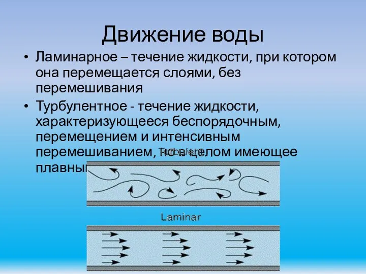 Движение воды Ламинарное – течение жидкости, при котором она перемещается слоями,