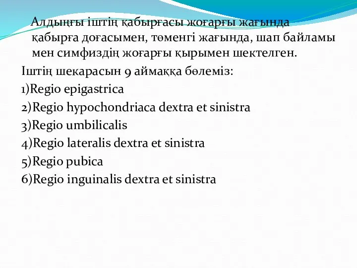 Алдыңғы іштің қабырғасы жоғарғы жағында қабырға доғасымен, төменгі жағында, шап байламы