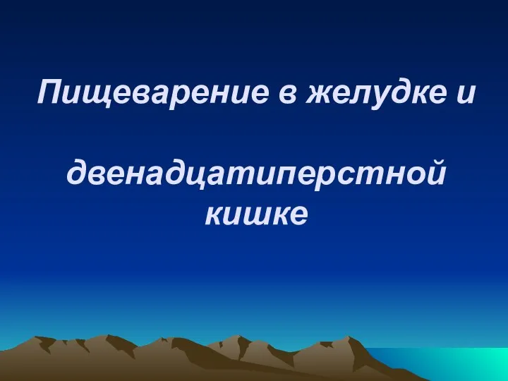 Пищеварение в желудке и двенадцатиперстной кишке