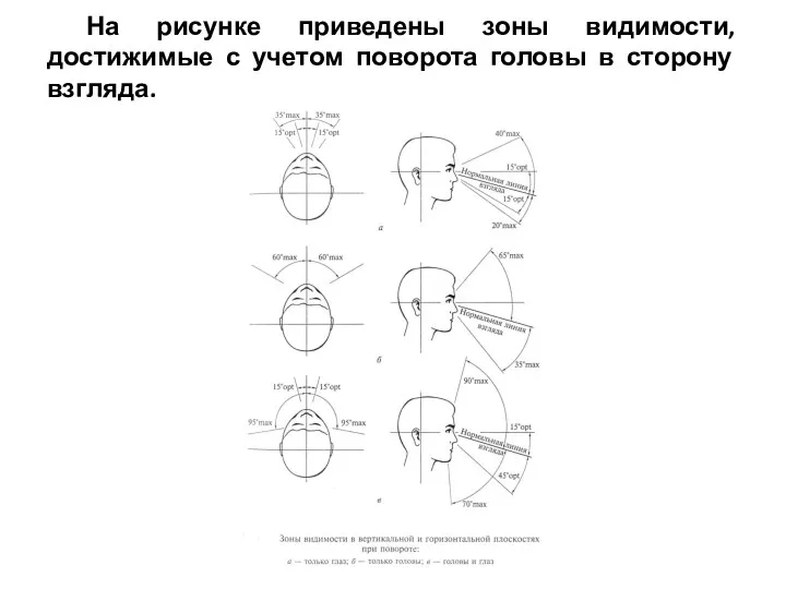 На рисунке приведены зоны видимости, достижимые с учетом поворота головы в сторону взгляда.