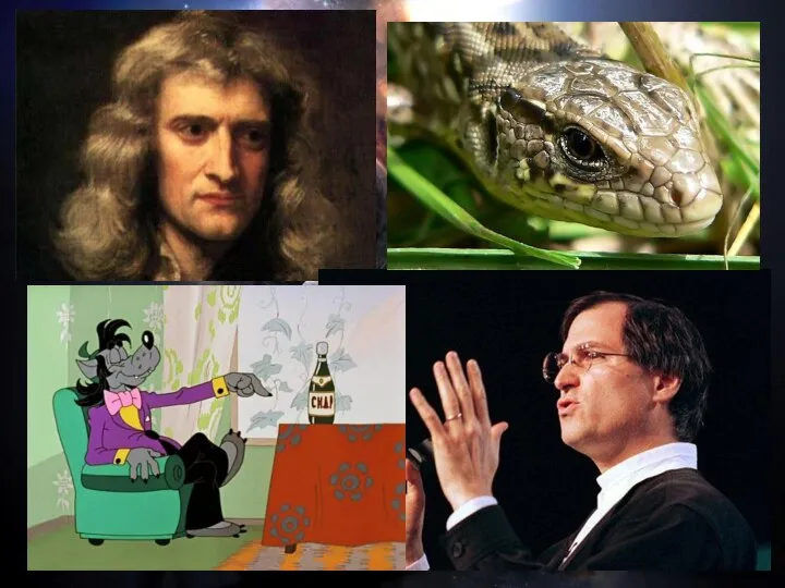Ньютон Змея Сидр айфон Ответ: календарь