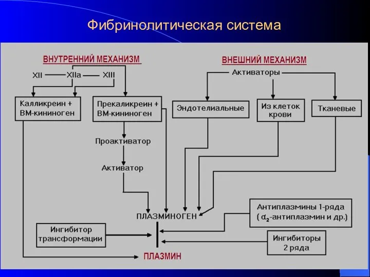 Фибринолитическая система