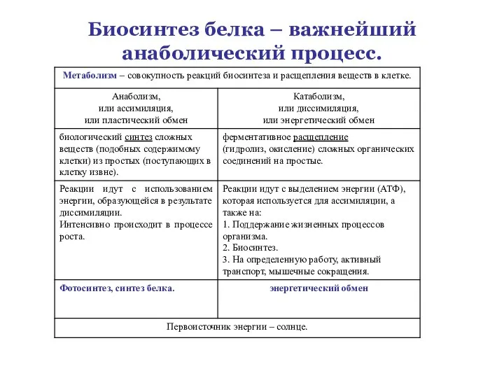 Биосинтез белка – важнейший анаболический процесс.