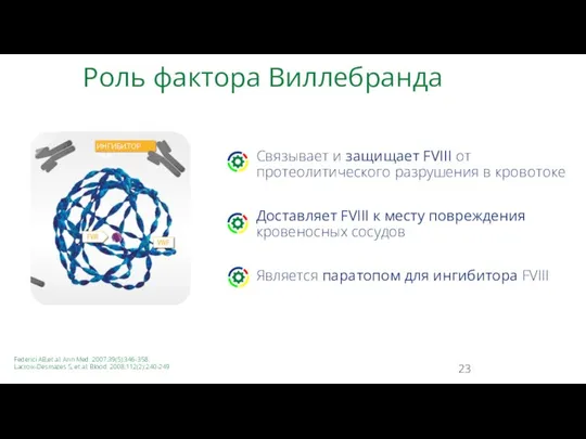 Роль фактора Виллебранда Связывает и защищает FVIII от протеолитического разрушения в