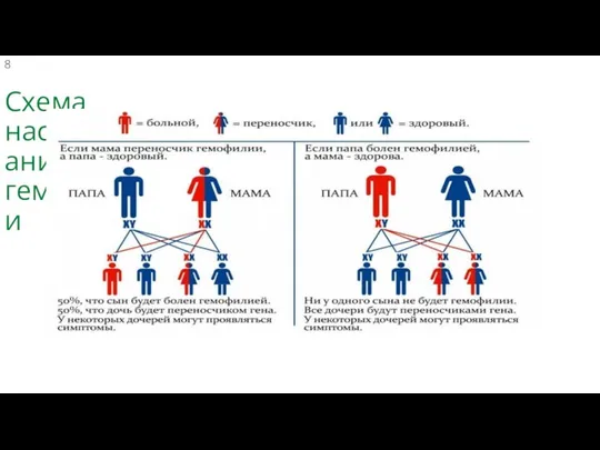 Схема наследования гемофилии