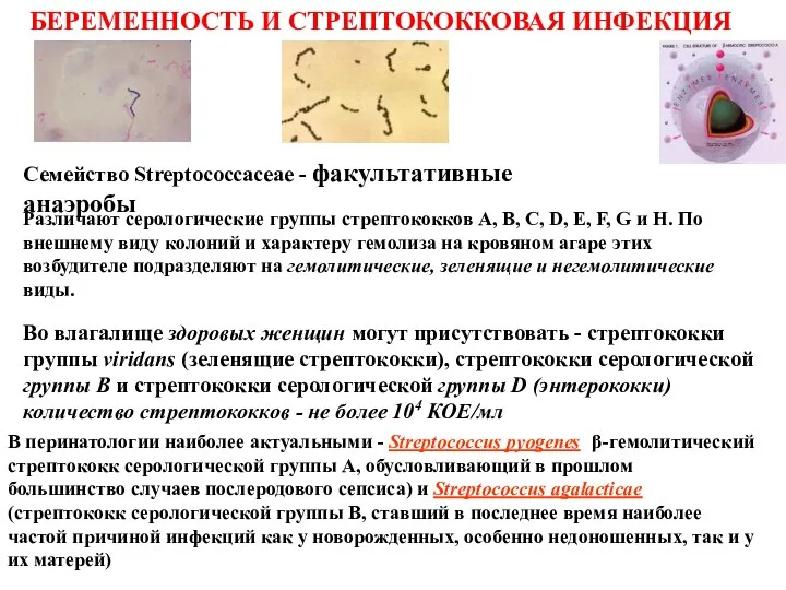 БЕРЕМЕННОСТЬ И СТРЕПТОКОККОВАЯ ИНФЕКЦИЯ Различают серологические группы стрептококков А, В, С,