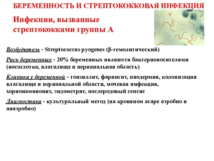 Инфекции, вызванные стрептококками группы А Возбудитель - Streptococcus pyogenes (β-гемолитический) Риск