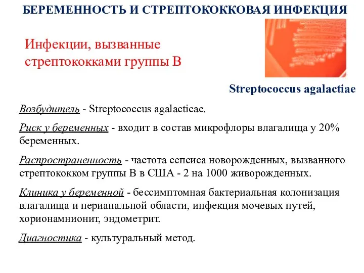 Streptococcus agalactiae Инфекции, вызванные стрептококками группы В БЕРЕМЕННОСТЬ И СТРЕПТОКОККОВАЯ ИНФЕКЦИЯ