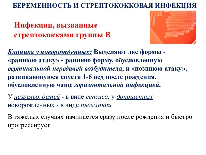 Инфекции, вызванные стрептококками группы В БЕРЕМЕННОСТЬ И СТРЕПТОКОККОВАЯ ИНФЕКЦИЯ Клиника у