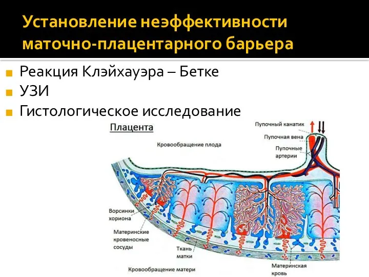 Установление неэффективности маточно-плацентарного барьера Реакция Клэйхауэра – Бетке УЗИ Гистологическое исследование