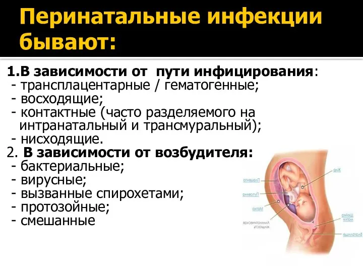 Перинатальные инфекции бывают: 1.В зависимости от пути инфицирования: - трансплацентарные /