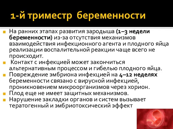 1-й триместр беременности На ранних этапах развития зародыша (1–3 недели беременности)