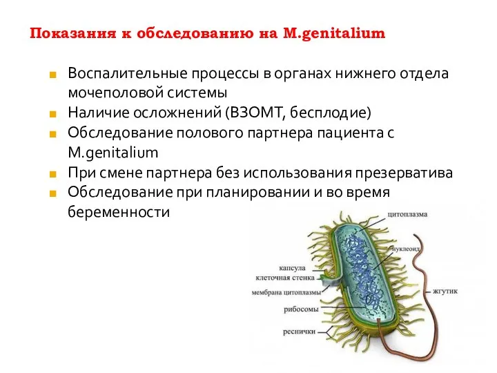 Показания к обследованию на M.genitalium Воспалительные процессы в органах нижнего отдела