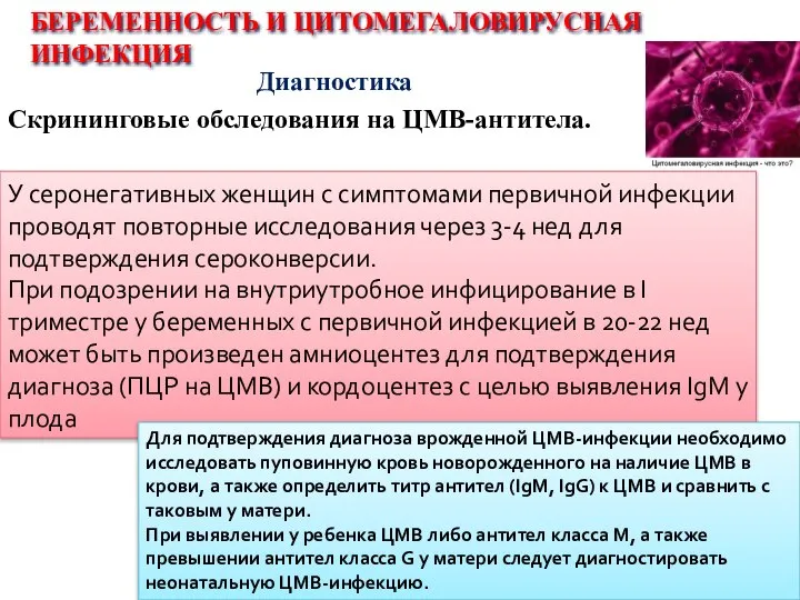 Скрининговые обследования на ЦМВ-антитела. БЕРЕМЕННОСТЬ И ЦИТОМЕГАЛОВИРУСНАЯ ИНФЕКЦИЯ Диагностика У серонегативных