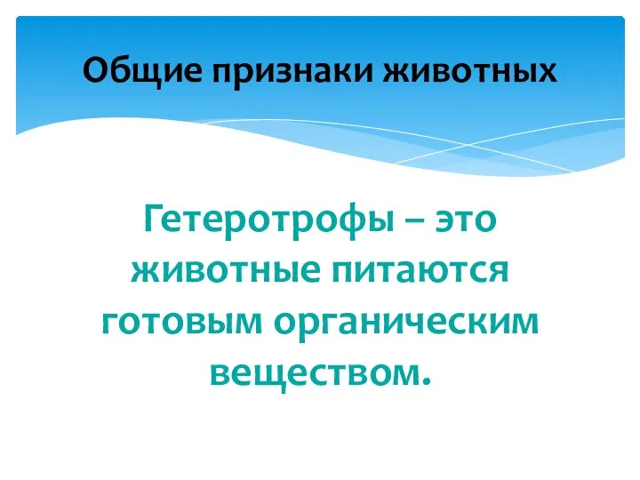 Гетеротрофы – это животные питаются готовым органическим веществом. Общие признаки животных