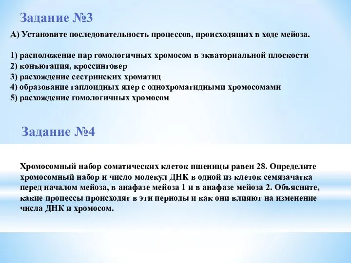 А) Установите последовательность процессов, происходящих в ходе мейоза. 1) расположение пар