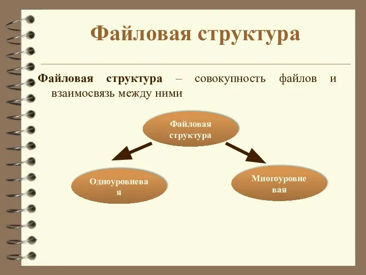 Файловая структура Файловая структура – совокупность файлов и взаимосвязь между ними Файловая структура Многоуровневая Одноуровневая