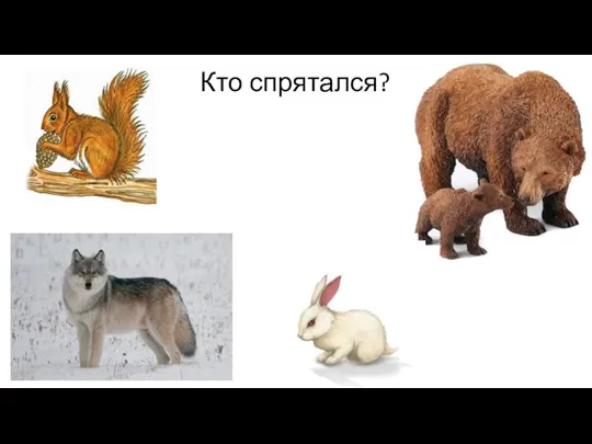 Кто спрятался?